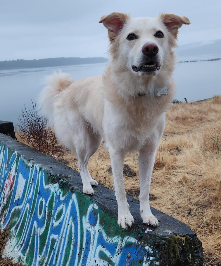 Lola