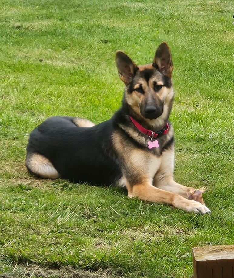 Luna
